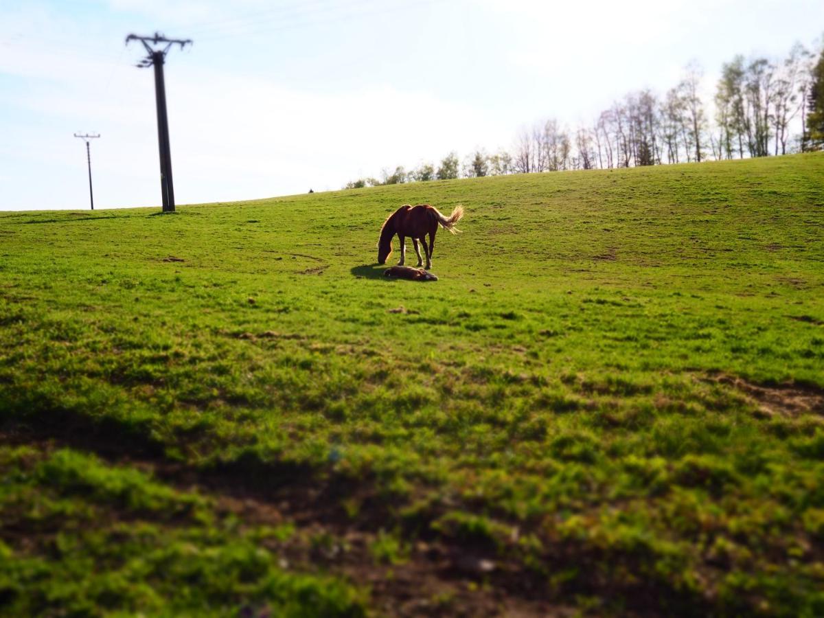 Ostello Srub U Lanovky Ramzová Esterno foto